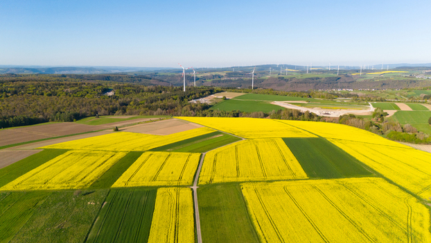 Aerial view of vibrant yellow rapeseed fields in bloom with wind turbines in the distance across the rolling landscape of Trier Saarburg Rhineland Palatinate Germany.