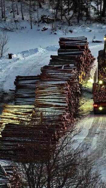 Aerial view of log pile and truck in a snowy forest Latvia.