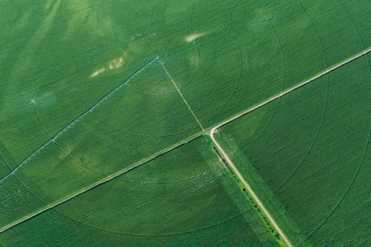 Aerial view of green agricultural fields with distinct circular center pivot irrigation patterns and a dirt road cutting through the landscape in Hombourg Grand Est France. Aerial view of green agricultural fields with distinct circular center pivot irrigation patterns and a dirt road cutting through the landscape in Hombourg Grand Est France.
