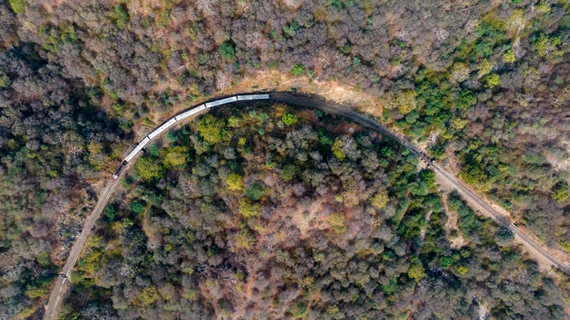 Aerial view of a train traveling along a curved track through a dense forest in Jodhpur Rajasthan India. Aerial view of a train traveling along a curved track through a dense forest in Jodhpur Rajasthan India.