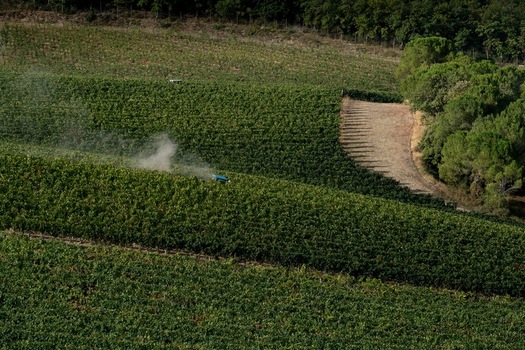 Aerial view of a tractor working in lush green vineyards with rows of vines and surrounding trees in Greve in Chianti Tuscany Italy. Aerial view of a tractor working in lush green vineyards with rows of vines and surrounding trees in Greve in Chianti Tuscany Italy.