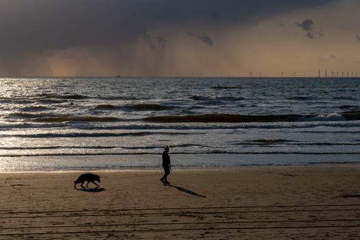 View of a person walking a dog on the sandy beach under a stormy sky with wind turbines on the horizon at Strand Wijk aan Zee in Wijk aan Zee North Holland Netherlands. View of a person walking a dog on the sandy beach under a stormy sky with wind turbines on the horizon at Strand Wijk aan Zee in Wijk aan Zee North Holland Netherlands.