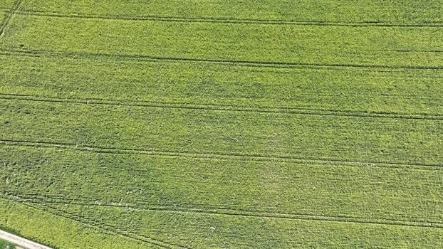 Aerial view of cultivated land France.