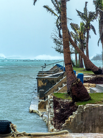 San Jose Tinian Northern Mariana Islands 06 July 2026 View of the coastline during Super Typhoon Bavi with rough seas storm surge and leaning palm trees. San Jose Tinian Northern Mariana Islands 06 July 2026 View of the coastline during Super Typhoon Bavi with rough seas storm surge and leaning palm trees.