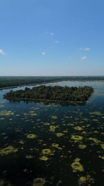Aerial view of a lush island in a calm lake Cambodia. Aerial view of a lush island in a calm lake Cambodia.