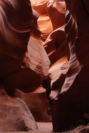 View of the smooth wavy sandstone walls and narrow passages of Antelope Canyon with warm orange light filtering through the rocks in Coconino County Arizona United States.