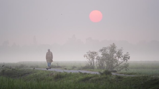 View of a man walking through a misty field at sunrise Bangladesh. View of a man walking through a misty field at sunrise Bangladesh.