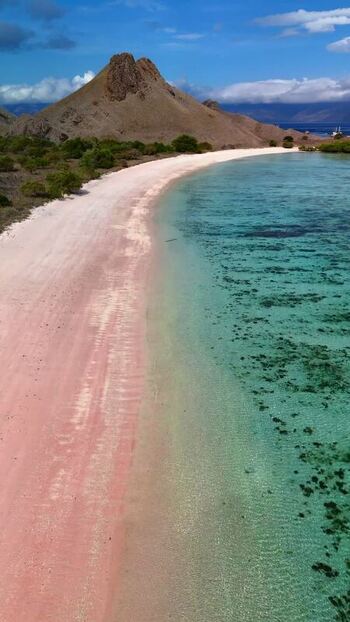 Aerial view of Pink Beach and turquoise waters Indonesia. Aerial view of Pink Beach and turquoise waters Indonesia.