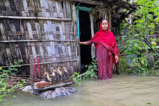 Banshkhali Upazila Chittagong Division Bangladesh 10 July 2026 View of a woman standing in floodwater in front of her home holding a cage containing ducks. Banshkhali Upazila Chittagong Division Bangladesh 10 July 2026 View of a woman standing in floodwater in front of her home holding a cage containing ducks.