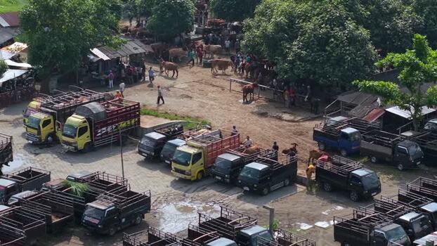 Aerial view of Animal Market Prambanan with trucks Indonesia. Aerial view of Animal Market Prambanan with trucks Indonesia.