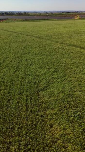 Aerial view of green agricultural fields in Brazil.