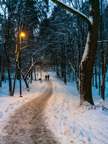 View of a snow covered path winding through a park in Vilnius at dusk illuminated by warm streetlights with two people walking in the distance Vilnius Vilnius County Lithuania. View of a snow covered path winding through a park in Vilnius at dusk illuminated by warm streetlights with two people walking in the distance Vilnius Vilnius County Lithuania.