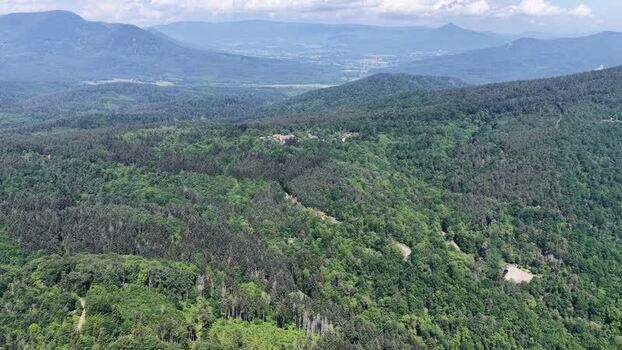 Aerial view of the lush green Vosges mountains near Selestat France.