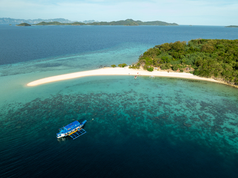 Aerial view of Malcapuya Island featuring a pristine white sand beach vibrant turquoise waters coral reefs and a traditional outrigger boat in Coron Mimaropa Philippines. Aerial view of Malcapuya Island featuring a pristine white sand beach vibrant turquoise waters coral reefs and a traditional outrigger boat in Coron Mimaropa Philippines.