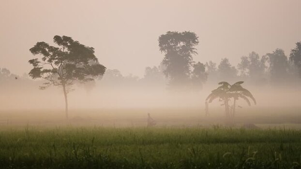 View of a misty rural landscape with trees in Bogura Bangladesh.