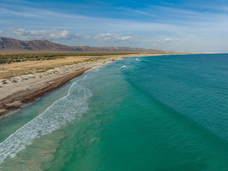 Aerial view of the turquoise sea meeting the sandy shore near Aomak campsite under a bright sky Aomak campsite Socotra Yemen.