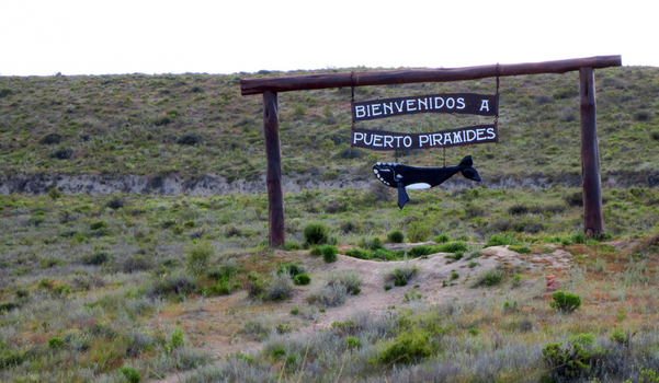 View of the wooden welcome sign for Puerto Piramides featuring a whale illustration against a backdrop of scrubby hills in Puerto Madryn Chubut Argentina. View of the wooden welcome sign for Puerto Piramides featuring a whale illustration against a backdrop of scrubby hills in Puerto Madryn Chubut Argentina.