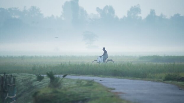 View of a man riding a bicycle through foggy fields in Bangladesh. View of a man riding a bicycle through foggy fields in Bangladesh.