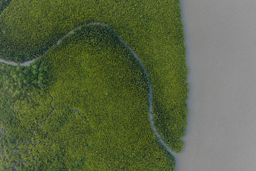 Aerial view of dense mangrove forest along the winding riverbank in the Niger Delta region Opobo Town Rivers Nigeria. Aerial view of dense mangrove forest along the winding riverbank in the Niger Delta region Opobo Town Rivers Nigeria.