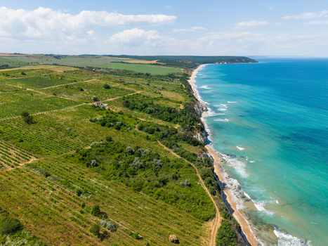 Aerial view of the coastline featuring lush green fields and vineyards overlooking the sandy beach and the turquoise waters of the Black Sea in Byala Varna Bulgaria. Aerial view of the coastline featuring lush green fields and vineyards overlooking the sandy beach and the turquoise waters of the Black Sea in Byala Varna Bulgaria.