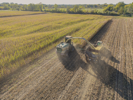 Green Bay Wisconsin United States 25 September 2026 Aerial view of a forage harvester chopping corn for silage in a large field with rows of harvested crops.
