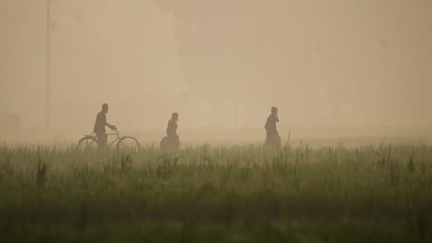 View of people walking through a misty field Bangladesh View of people walking through a misty field Bangladesh