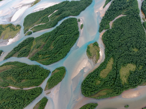 Aerial view of the braided river system with turquoise glacial meltwater flowing around lush green river islands in Skonseng Nordland Norway. Aerial view of the braided river system with turquoise glacial meltwater flowing around lush green river islands in Skonseng Nordland Norway.