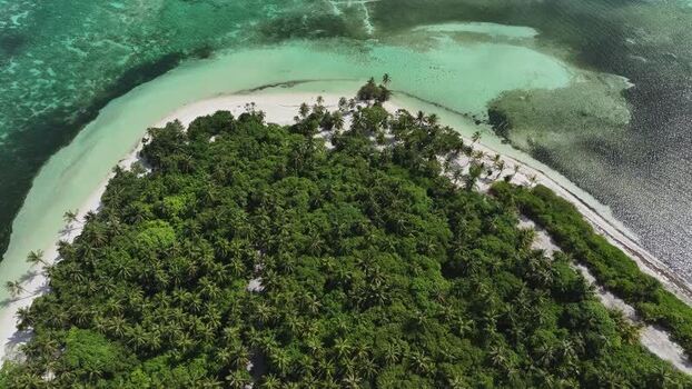 Aerial view of a tropical island with lush palm trees and reefs Maldives. Aerial view of a tropical island with lush palm trees and reefs Maldives.
