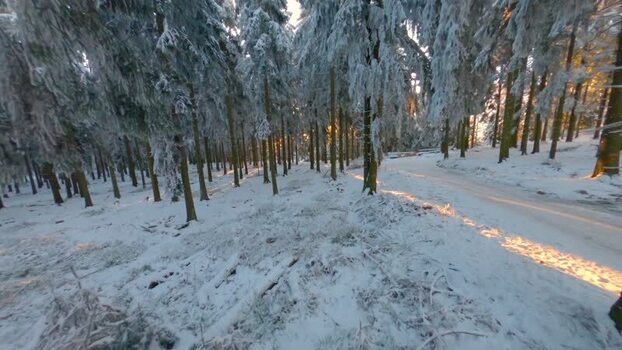 FPV aerial view of a snow covered forest in Germany.