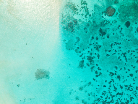 Aerial view of turquoise waters meeting the darker textured coral reefs in a stunning display of nature s artistry Vashafaru Island Maldives.