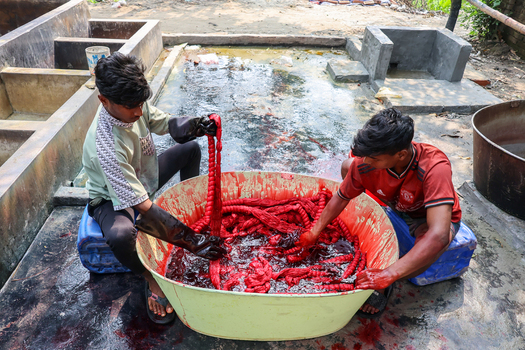 Narayanganj Bangladesh 29 March 2026 View of workers processing vibrant red materials in a large container contrasting with the surrounding gray concrete structures. Narayanganj Bangladesh 29 March 2026 View of workers processing vibrant red materials in a large container contrasting with the surrounding gray concrete structures.