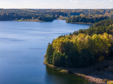 Aerial view of a calm blue lake surrounded by dense autumn forests with yellow and green foliage Lithuania. Aerial view of a calm blue lake surrounded by dense autumn forests with yellow and green foliage Lithuania.