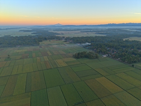 Aerial view of lush green rice fields stretching across the rural landscape of Kutoarjo Central Java Indonesia. Aerial view of lush green rice fields stretching across the rural landscape of Kutoarjo Central Java Indonesia.