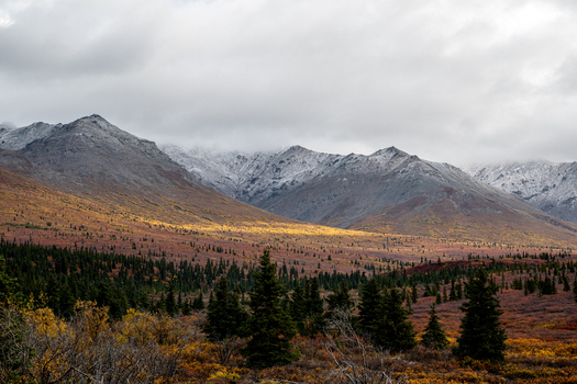 View of the snow capped peaks of Denali National Park and Preserve rising above vibrant autumn tundra and evergreen forests under a cloudy sky in Alaska United States. View of the snow capped peaks of Denali National Park and Preserve rising above vibrant autumn tundra and evergreen forests under a cloudy sky in Alaska United States.