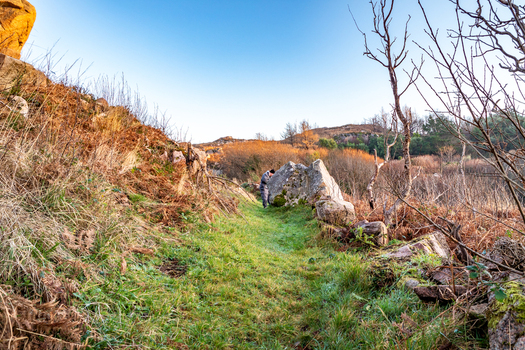 View of Kincasslagh Mass Rock surrounded by grassy terrain dry ferns and sparse trees under a clear sky in Kincasslagh County Donegal Ireland. View of Kincasslagh Mass Rock surrounded by grassy terrain dry ferns and sparse trees under a clear sky in Kincasslagh County Donegal Ireland.