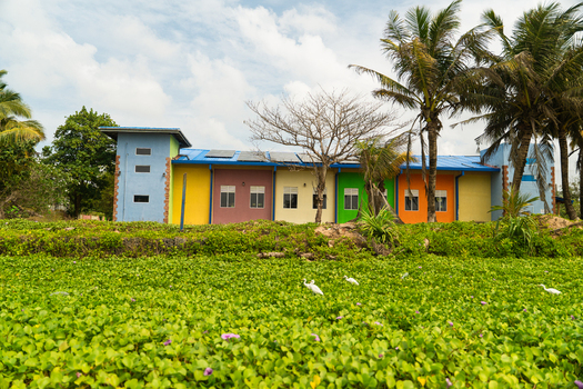 View of a colorful building with solar panels on the roof behind a lush field of green aquatic plants and white egrets Sri Lanka. View of a colorful building with solar panels on the roof behind a lush field of green aquatic plants and white egrets Sri Lanka.