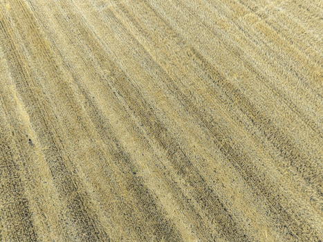 Aerial view of a harvested wheat field with distinct tractor tracks across the golden stubble in Ottenhofen Bayern Germany.