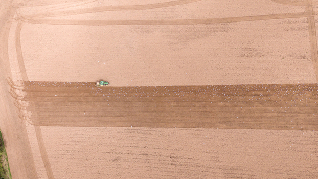 Aerial view of a tractor plowing a large brown field with a flock of seagulls following behind in the rural landscape of Looe Cornwall United Kingdom. Aerial view of a tractor plowing a large brown field with a flock of seagulls following behind in the rural landscape of Looe Cornwall United Kingdom.