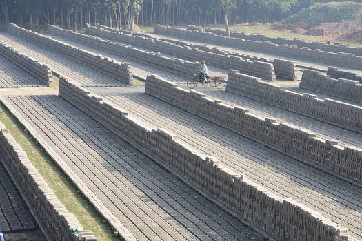 Kushtia District Khulna Division Bangladesh 28 November 2020 View of a vast brickyard with long rows of drying clay bricks and a man riding a bicycle through the site under a clear sky. Kushtia District Khulna Division Bangladesh 28 November 2020 View of a vast brickyard with long rows of drying clay bricks and a man riding a bicycle through the site under a clear sky.