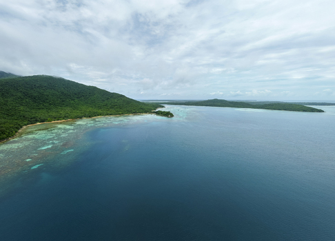 Aerial view of the deep blue sea meeting the lush green coastline under a cloudy sky at Annora beach Karimunjawa Jawa Tengah Indonesia.