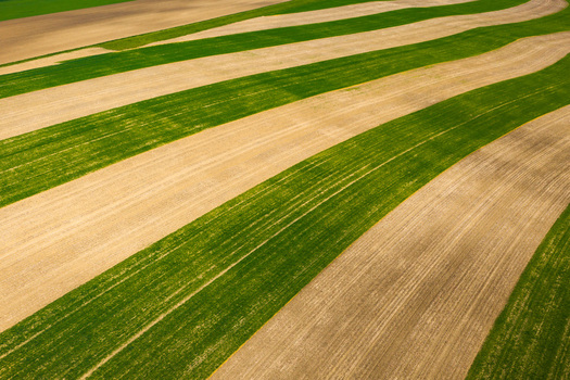 Aerial view of agricultural fields with alternating green and brown strips in Brno South Moravian Region Czechia.
