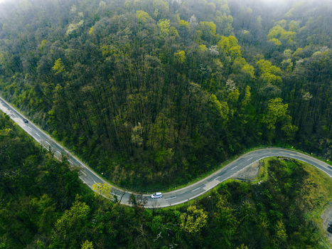 Aerial view of a winding road cutting through a dense forest of varied greens under a misty sky Novi Sad Vojvodina Serbia. Aerial view of a winding road cutting through a dense forest of varied greens under a misty sky Novi Sad Vojvodina Serbia.