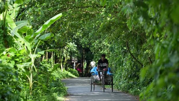 View of a man riding a rickshaw on a tree lined road Bangladesh. View of a man riding a rickshaw on a tree lined road Bangladesh.