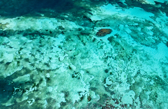 Aerial view of the vibrant coral reef and crystal clear turquoise waters showing intricate underwater patterns and shallow sandbars Guanaja Bay Islands Department Honduras. Aerial view of the vibrant coral reef and crystal clear turquoise waters showing intricate underwater patterns and shallow sandbars Guanaja Bay Islands Department Honduras.