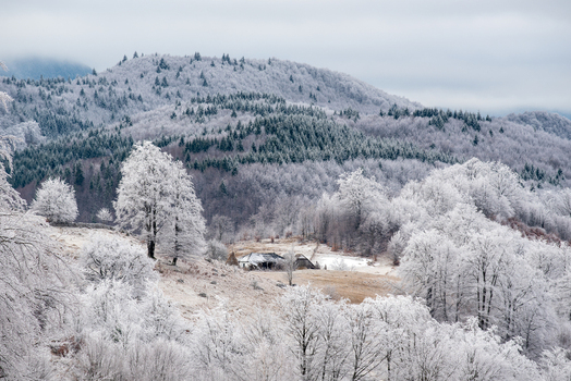 View of a winter landscape with frost covered trees and hills under a cloudy sky with a small rustic house nestled in the valley in Alba County Romania. View of a winter landscape with frost covered trees and hills under a cloudy sky with a small rustic house nestled in the valley in Alba County Romania.