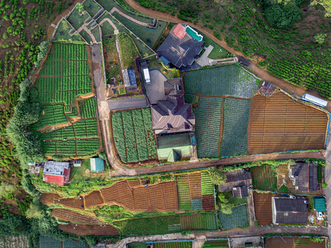 Aerial view of a residential property surrounded by lush terraced tea plantations and vegetable fields in the highlands of Nuwara Eliya Central Province Sri Lanka. Aerial view of a residential property surrounded by lush terraced tea plantations and vegetable fields in the highlands of Nuwara Eliya Central Province Sri Lanka.