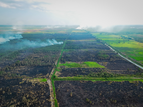 Aerial view of burnt vegetation and smoke rising from agricultural land near Banjarbaru South Kalimantan Indonesia.