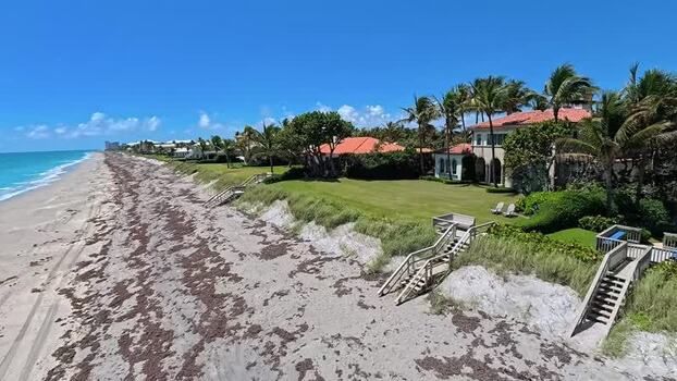 Aerial view of luxury beachfront houses and palm trees United States. Aerial view of luxury beachfront houses and palm trees United States.