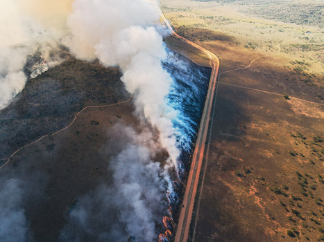 Aerial view of a massive wildfire spreading across the savanna with thick smoke rising near a dirt road in Waterberg District Municipality Limpopo South Africa.
