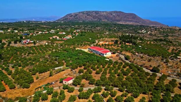 Aerial view of olive groves and buildings in Crete Greece.